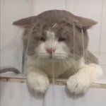 [NCT드림] ㅅㄷ 고삼준표 지금 죽을 맛 어이이ㅣ...