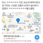 [19] 아빠 생일선물로 코끼리팬티 ㅇㄸ???