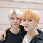 [NCT드림] <b>나의</b> 최애 조합