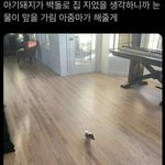 옛날 자기 <b>사진</b> 보면서 나만 <b>이런</b> 생각하냐