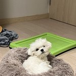 <b>심장</b>마비 온다