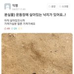 애 셋인데 서울 <b>학원</b>가 아파트 살고
