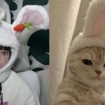 [<b>뉴진스</b>] 토끼탈을 쓴 고양이 모음