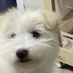 [19] 전남친이랑 ㅈㄴ 골때렷던거