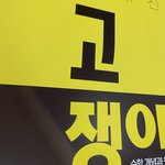 [드루와] <b>고쟁이</b> 솔직히…ㅋㅋ