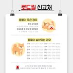 [조언부탁해] 객관적으로 콘서트 가는게 맞는지 알려줘