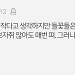 아 얘들아 나 웃겨 죽을거 같음