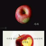 <b>영어</b> 찍기영상 추천 좀