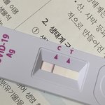 이거 <b>두줄</b> 같나?