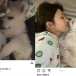 크러쉬 조이 네이트 올린 게이 기사 뜸