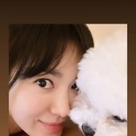 [모두드루와] 송혜교 <b>반려</b>견