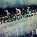 독특한 발상이 돋보이는 공포영화들