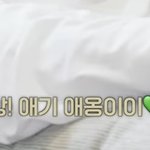 [NCT칠프] 엉 날조 정정 해드림 정우 <b>지입</b>으로 애기라 한적없음