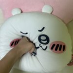 [댓글부탁해] <b>학과</b> 한명뽑는데 나 예비1번인데 합격할까?