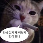 [드루와] 낼부터 카페 알바 나가는데 손님 <b>역할</b> 좀 ㅠㅠ