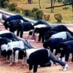 고등학교서 학생 수십명 엎드려뻗쳐 시킨 교사 아동학대로 신고