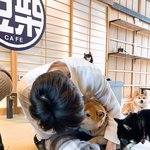 [NCT칠프] <b>유죄</b>사진