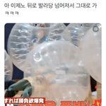 [NCT드림] 아 이제노 <b>개구</b>ㅏ엽네