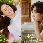 이정도면 댕댕이가 주인공 아닐까 싶은 드라마