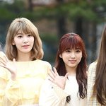 둘 중에 한 몸매로 살아야된다면?