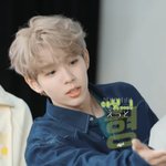 [쇼타로] 유니버스 <b>타로</b>