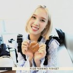 얘 약과 엄청 좋아한다ㅋㅋㅋㅋㅋㅋㅋㅋㅋ