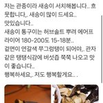 [추반] 어텐션 vs <b>짐</b>살라<b>빔</b> 중에 무슨 노래가 더 좋음?