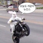 [<b>뉴진스</b>] 늘 느끼는 거지만