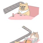 [댓글부탁해] <b>멀리</b>서 보아야 예쁘다