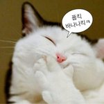 솔직히 나 수능 <b>압박감</b> 궁금했는데