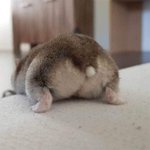 어이 오늘 수능 본 ‘네놈’