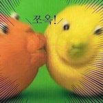 [드루와] 물화생중에 뭐가 젤 나을까 ㅋㅋ