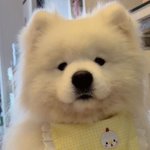 [댓글부탁해] 너네라면 <b>어떡</b>할거임??
