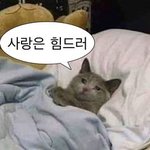 [댓글부탁해] 25살이 결혼 생각할 나이야?