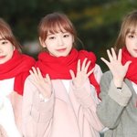 김채원 최예나 조유리