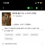[19] 수능 끝난 고3들아 <b>웹소설</b> 하나 추천함