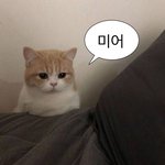 <b>재수</b>할 건데 일단 올해는 놀아도 되는 거 맞아??