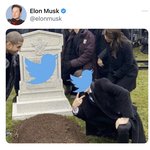 <b>일론</b> 머스크 근황