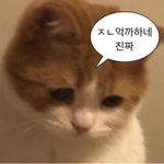 수능..이제 그를 놓아주려고 합니다