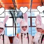 레벨팬들이 뉴진스 까는거지?