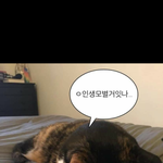 [댓글부탁해] 얘들아 마라탕 먹을까 <b>마라샹궈</b> 먹을까