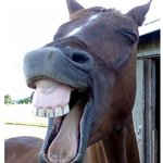 나 사범대가면 체육교사랑 <b>cc</b>하고 싶다