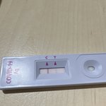 이거 <b>두</b><b>줄</b>이야?