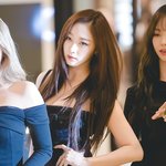 지젤 무보정 기사사진 ㅁㅊ음…