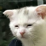 [19] 짝남이 내 똥싸는소리 들음ㅋㅋㅋㅋㅠㅠ