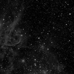 유난히 짙고 긴 밤 견디던 어느날,