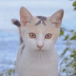 나 국어 <b>마킹</b>실수했어