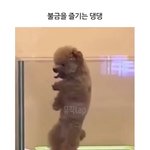 [혼자하는말] 잘<b>자요</b>