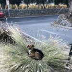 01년생 그동안의 공부침체기