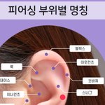 [피어싱] 귀 뚫을려고 하는데 위치 <b>오디</b>가 이쁠까